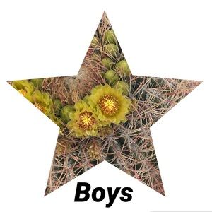 Boys clothing, shoes, and accessories go here!